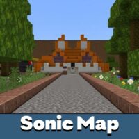 Carte Sonic pour Minecraft PE