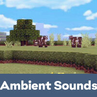 Ambient Sounds Mod for Minecraft PE