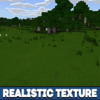 Realistic Texture Pack for Minecraft PE