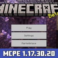 Minecraft PE 1.17.30.20