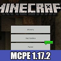 Minecraft 1.17.2