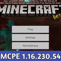 Minecraft PE 1.16.230.54