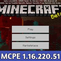 Minecraft PE 1.16.220.51