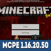 Minecraft PE 1.16.0.67